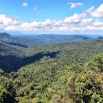 Nuovo corridoio ecologico in Ecuador collega le Ande agli ecosistemi amazzonici.