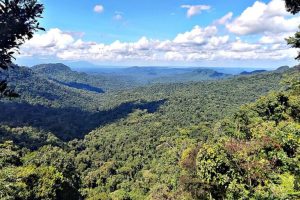 Nuovo corridoio ecologico in Ecuador collega le Ande agli ecosistemi amazzonici.