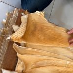 La polizia brasiliana sequestra oltre 1,5 tonnellate di pinne di squalo.