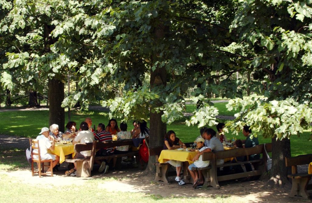 Il Mezzogiorno traina l’agriturismo nel 2024: una crescita senza precedenti.