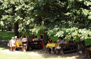 Il Mezzogiorno traina l’agriturismo nel 2024: una crescita senza precedenti.