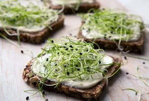 Germogli da evitare crudi per la tua sicurezza alimentare