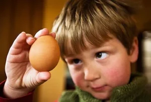 Uova Sorprendenti: 6 Modi Geniali per Prepararle e Gustarle