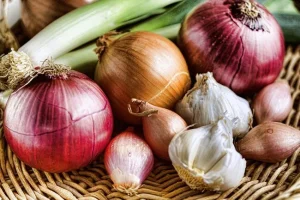 Metodi efficaci per conservare gli alimenti mantenendoli freschi più a lungo