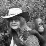 È morta Birutė Galdikas, primatologa che ha dedicato la vita agli orangotani, a 79 anni.