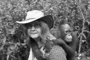 È morta Birutė Galdikas, primatologa che ha dedicato la vita agli orangotani, a 79 anni.