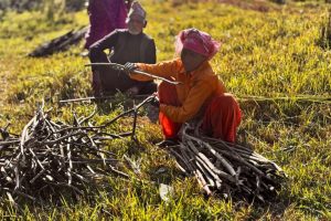 Riforme urgenti richieste nelle zone cuscinetto del Nepal: ecco la situazione attuale.