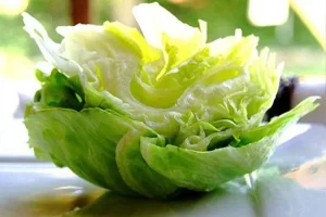 Alimenti Ricchi di Acqua per Idratazione Naturale e Salute Ottimale