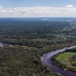 Ferrovia Bioceanica Perù-Brasile: esperti avvertono sui rischi per l’Amazzonia