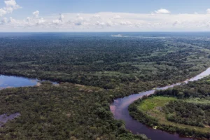 Ferrovia Bioceanica Perù-Brasile: esperti avvertono sui rischi per l’Amazzonia