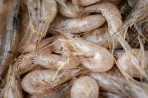 Ritirati due lotti di gamberi bianchi congelati per livelli di solfiti eccessivi.