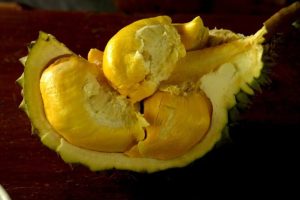 Raccolto di durian a Java compromesso: gli agricoltori affrontano i danni delle forti piogge.