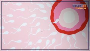 Tecniche innovative per preservare la fertilità femminile: scopri le opzioni disponibili.