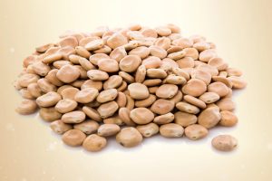 Richiamo di lupini secchi: allerta per rischio alcaloidi nei prodotti alimentari.