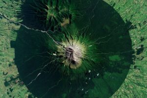 Storie sbagliate danneggiano la natura: come possiamo invertire la rotta.