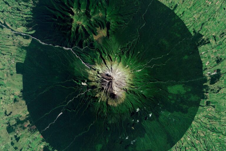 Storie sbagliate danneggiano la natura: come possiamo invertire la rotta.