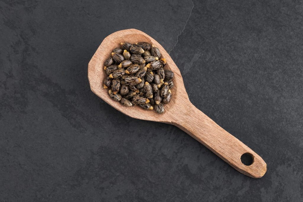 Madre e figlia morte a Campobasso: avvelenate con ricina, non cibo avariato.