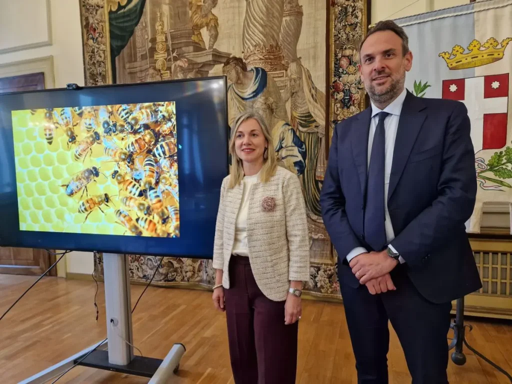 Treviso ospita la terza Giornata Ecologica Regionale nel 2026: un evento da non perdere!