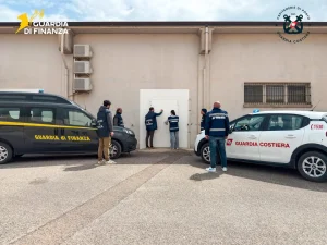 Sequestrati oltre 1200 kg di prodotti ittici in un’operazione nella provincia di Cagliari.