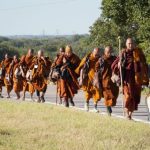 Marcia per la pace in Sri Lanka: attivisti chiedono diritti per gli animali