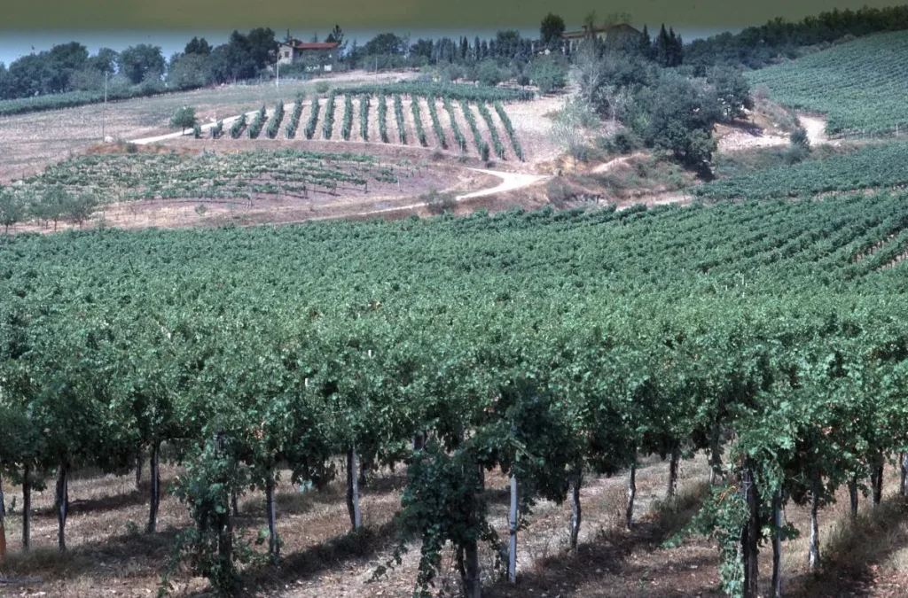 Toscana: 42.000 imprese agroalimentari, il 30,4% guidato da donne. Un settore in crescita!