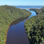 In Tasmania, le miniere sono chiuse, ma i fiumi raccontano ancora la loro storia.