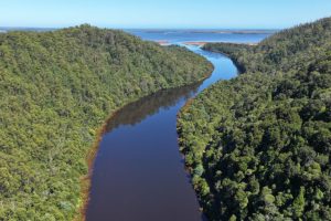 In Tasmania, le miniere sono chiuse, ma i fiumi raccontano ancora la loro storia.