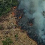 Banche brasiliane useranno dati satellitari per verificare la deforestazione nel credito rurale.