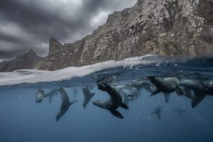 Piano del Cile per proteggere il 10% degli oceani bloccato dal nuovo governo.