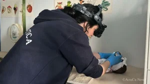 Cagliari: Cura innovativa della retinopatia neonatale al Policlinico Casula per neonati in difficoltà.