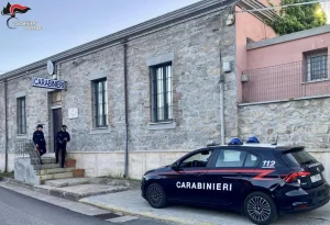 Arrestato nel Sassarese per atti persecutori e uccisione di animali verso la vicina.