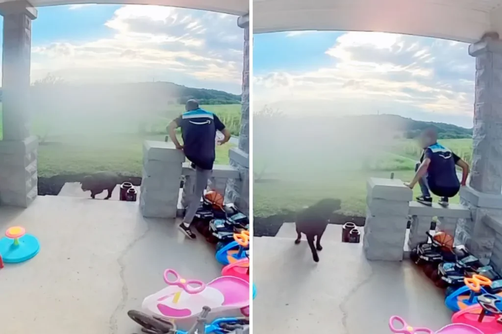 Il corriere affronta un cane per consegnare pacco: il video che ha sorpreso tutti