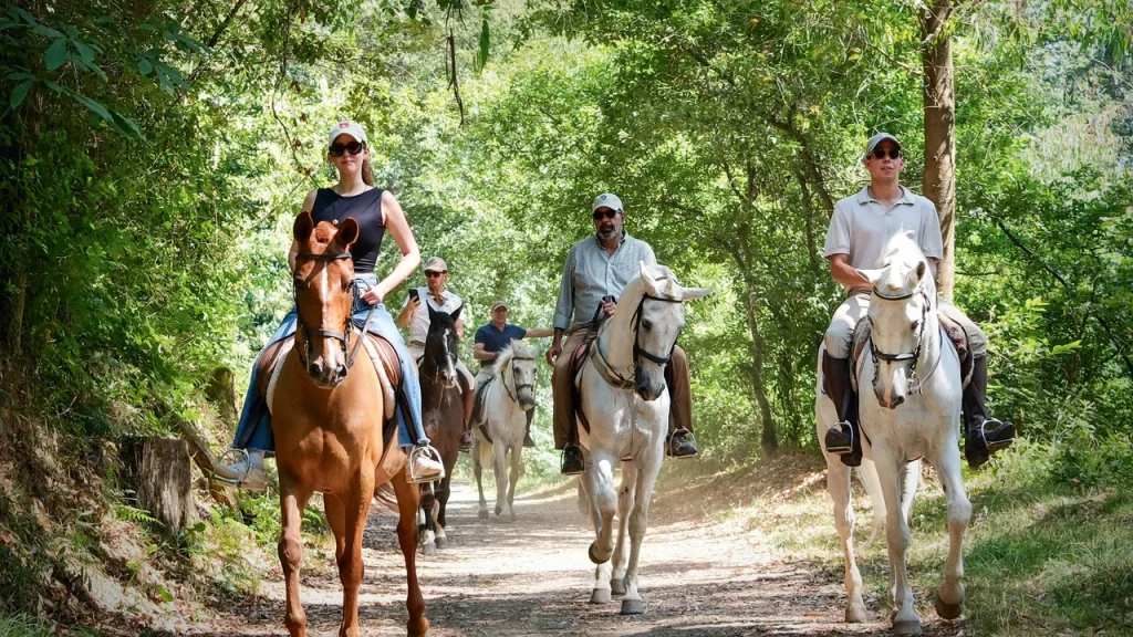 Scoprire il Cammino di Santiago: un’avventura epica in sella attraverso la Spagna