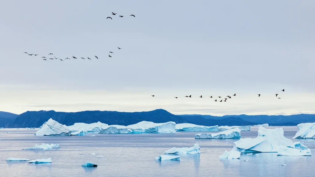 Scopri il campeggio remoto sull’isola più misteriosa d’Europa: la fuga perfetta dalla routine.