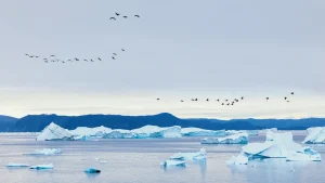 Scopri il campeggio remoto sull’isola più misteriosa d’Europa: la fuga perfetta dalla routine.
