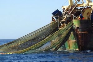 NPFC adotta misure contro la pesca illegale, ma non protegge le Montagne Sottomarine Imperatore.