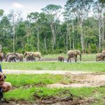 La lunga esperienza di Luis Arranz: conservazione efficace in Centro Africa in 46 anni.