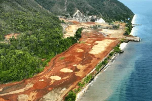 Aumento del 66% della deforestazione in Indonesia nel 2025, annullando anni di progressi.