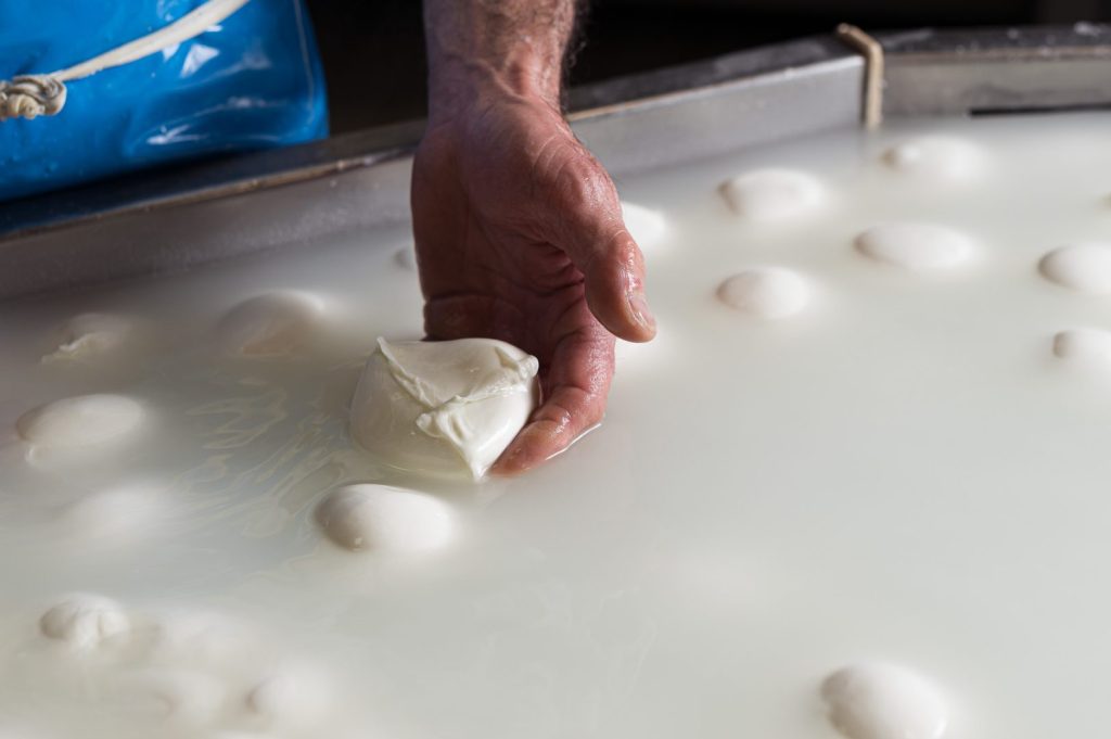 Mozzarella DOP in crisi: aumentano i costi di produzione per la situazione in Iran.