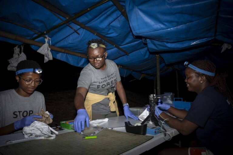 Specialista nigeriano dei pipistrelli vince il Goldman Prize per la conservazione della comunità.