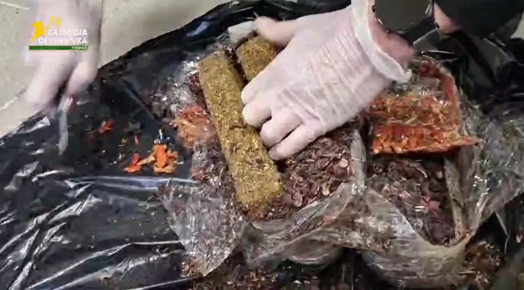 28enne nigeriana arrestata in Spagna con 9 kg di droga: video shock.