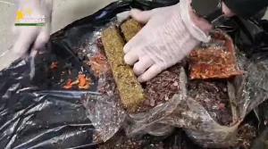 28enne nigeriana arrestata in Spagna con 9 kg di droga: video shock.