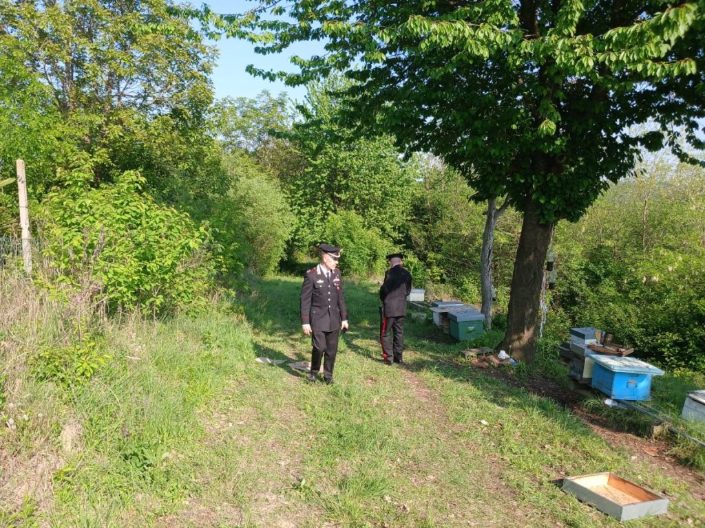 Tragedia ad Asti: uomo uccide ex moglie e compagno, poi si suicide.