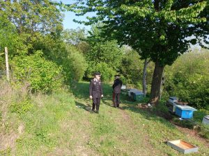 Tragedia ad Asti: uomo uccide ex moglie e compagno, poi si suicide.