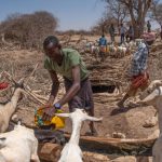 Diritto alla sussistenza: la siccità cambia la vita dei pastori in Etiopia.
