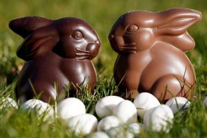 Deforestazione e cioccolato: il tuo coniglietto di Pasqua potrebbe danneggiare l’ambiente