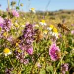 Tutelare le api per salvaguardare il pianeta, ecco come fare