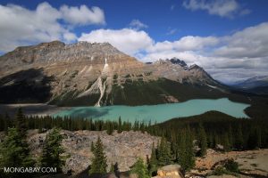 Canada propone investimenti da 730 miliardi in miniere, ma critica per sostenibilità insufficiente.