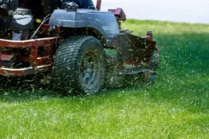 Calorie Bruciate Svolgendo le Attività Domestiche: Fitness Quotidiano e Benefici