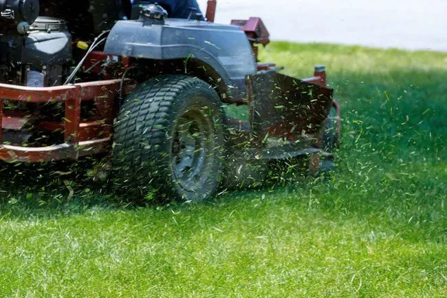 Calorie Bruciate Svolgendo le Attività Domestiche: Fitness Quotidiano e Benefici